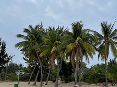 -三亚湾海居铂尔曼度假酒店