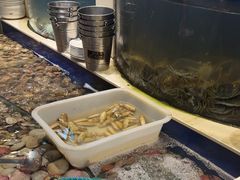 -海天盛宴新派海鲜自助餐厅(群力店)