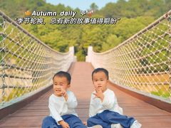 -铁山坪森林公园