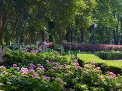 -常州古运河南大街文化旅游区-人民公园