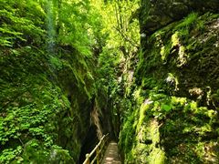 -牛背梁国家森林公园