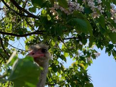 -云漫湖生态度假公园