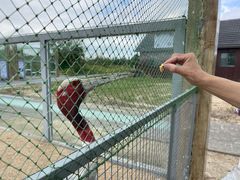 -盐城丹顶鹤湿地生态旅游区