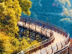 -少华山国家森林公园
