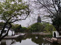 -红梅公园