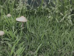 -钟山体育运动公园