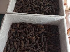 -宫品海参专卖店(黄浦老西门店)