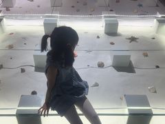 -贝壳王国博物馆