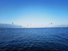 -大理洱海
