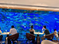 -亚特兰蒂斯•OSSIANO奥西亚诺海底餐厅