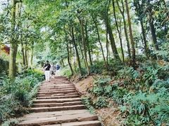 -青城山