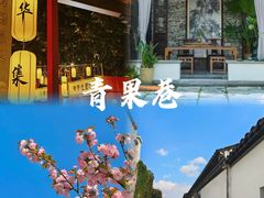 -中华恐龙园