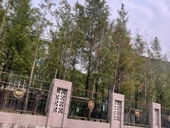 -上海师范大学附属中学(三林校区)