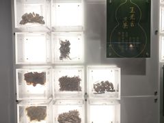 -广东中医药博物馆