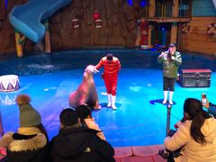 -烟台海昌鲸鲨海洋公园