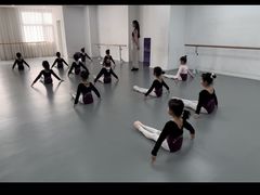 -西安小天鹅艺术团(金花路校区)