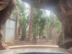 -龙达温泉生态城