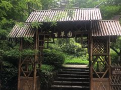 -上海市保健医疗中心