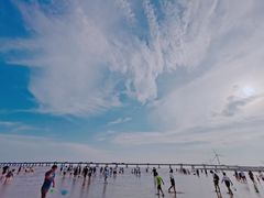 -南汇嘴观海公园