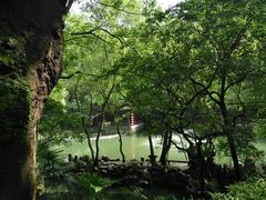 -绮园景区