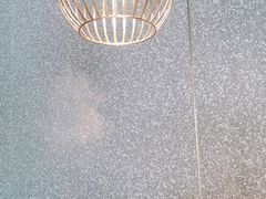 -半天妖烤鱼(石岛店)