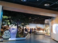 -陕西自然博物馆