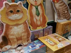 零售区-猫的天空之城概念书店(三坊七巷店)