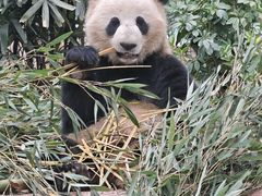 -乐和乐都主题乐园