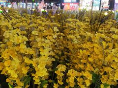 -匠子烤鱼(上邦百汇城店)