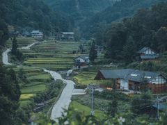 -梧桐山风景名胜区