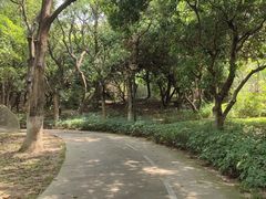 -燕晗山郊野公园