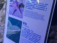 -杭州长乔极地海洋公园