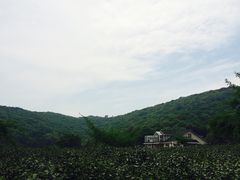 -龙寺生态园
