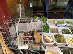 -高淳老街土菜馆(迎薰门店)