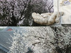 -北海公园