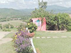 -黄色小屋