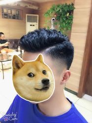 -魅力发型