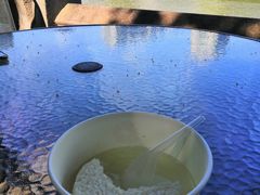 -润和祥小砵头甜酒酿