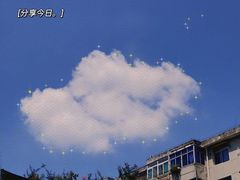 -糕小爱·动物奶油生日蛋糕定制(合肥总店)