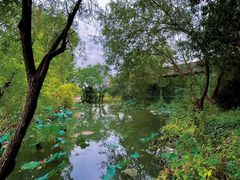 -西溪国家湿地公园