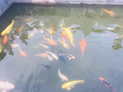 -珠海圆明新园