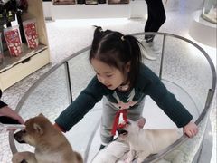-上海尚嘉中心