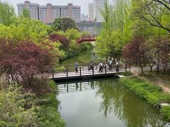 -洛阳市隋唐城遗址植物园