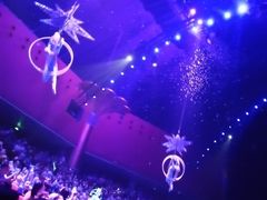 -珠海横琴长隆《卡卡虎奇遇记》