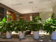 大堂-虾佬圣汤·海鲜姿造(乐堤港店)