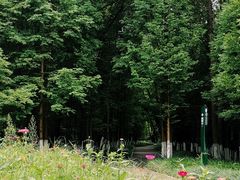 -桤木河湿地公园