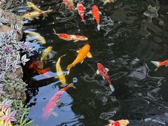 -聚福宝合苑食府(南头镇店)