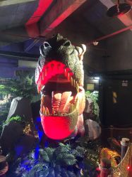 -恐龙探索乐园(磁器口店)