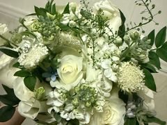-淘花源花艺鲜花店 开业花篮 绿植(南部商务区店)