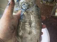 -江门古兜温泉小镇